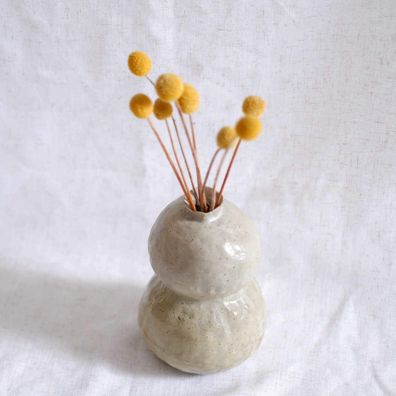 Vanilla Bean Peanut Bud Vase