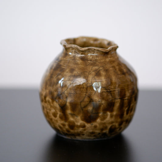 Turtle Vase
