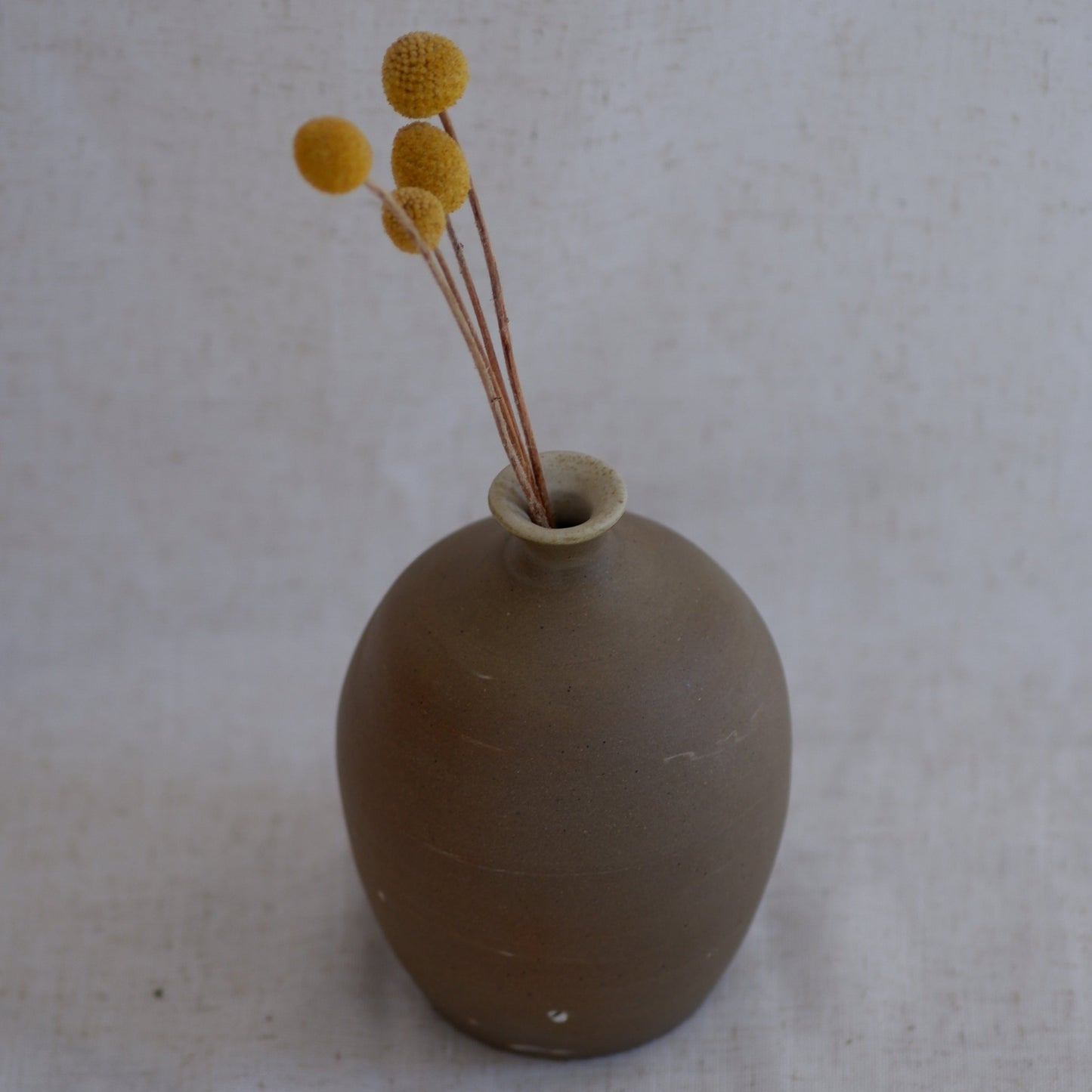 Milk Chocolate Bud Vase