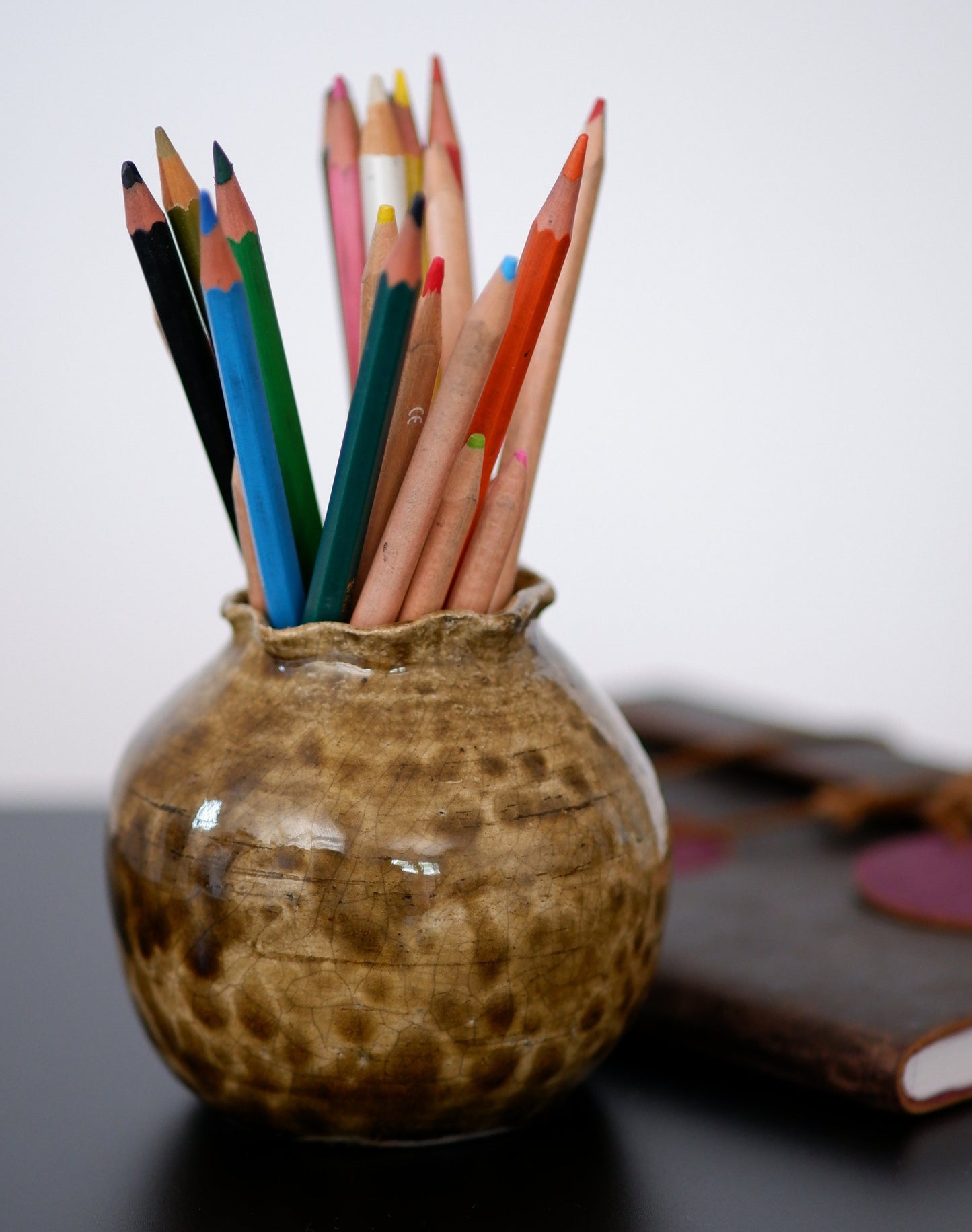Turtle Vase