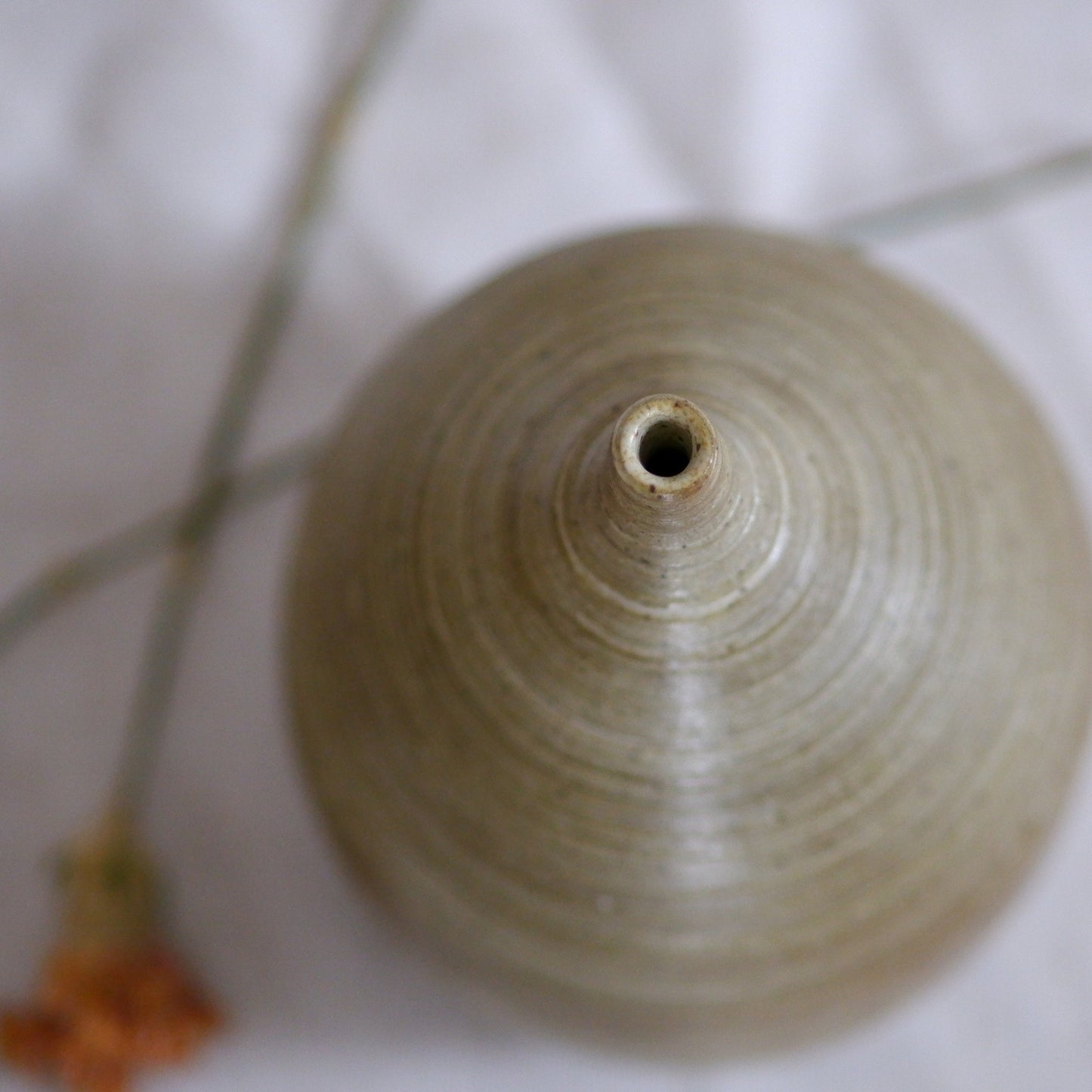 Zebra Bud Vase